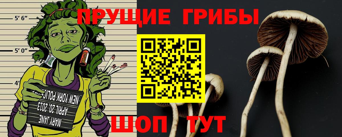 Галлюциногенные грибы GOLDEN TEACHER  Псилоцибиновые грибы Cubensis  Удомля  Вход с VPN 