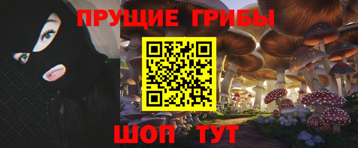 Псилоцибиновые грибы мицелий Удомля